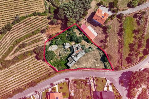 Villa i Gamil e Midoes, Braga, Gamil e Midoes - € 295.000 | Ref: ZMPT566941 - foto 28