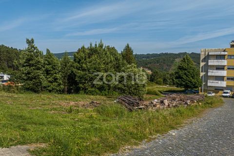 Terra a Sobreira, Porto, Sobreira - € 200.000 | Ref: ZMPT567759 - foto 5