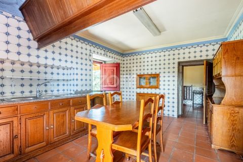 Farm i Cinfaes, Viseu, Cinfaes - € 550.000 | Ref: ZMPT568769 - foto 10