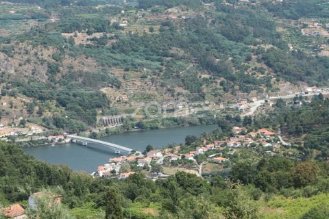 Farm i Cinfaes, Viseu, Cinfaes - € 550.000 | Ref: ZMPT568769 - foto 12
