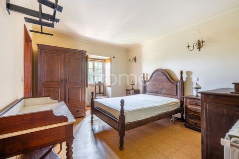Farm i Cinfaes, Viseu, Cinfaes - € 550.000 | Ref: ZMPT568769 - foto 13