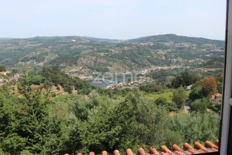 Farm i Cinfaes, Viseu, Cinfaes - € 550.000 | Ref: ZMPT568769 - foto 20