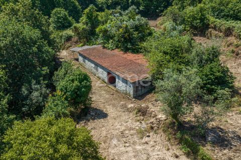 Farm i Cinfaes, Viseu, Cinfaes - € 550.000 | Ref: ZMPT568769 - foto 23