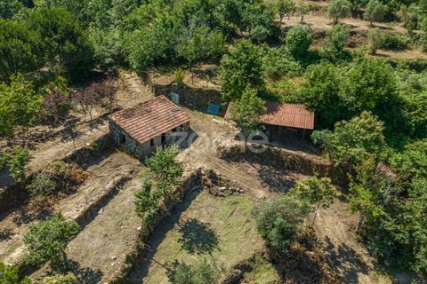 Farm i Cinfaes, Viseu, Cinfaes - € 550.000 | Ref: ZMPT568769 - foto 24