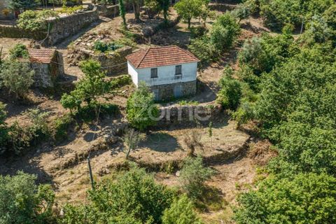 Farm i Cinfaes, Viseu, Cinfaes - € 550.000 | Ref: ZMPT568769 - foto 25