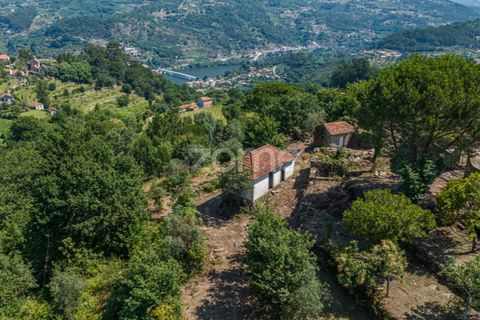 Farm i Cinfaes, Viseu, Cinfaes - € 550.000 | Ref: ZMPT568769 - foto 26