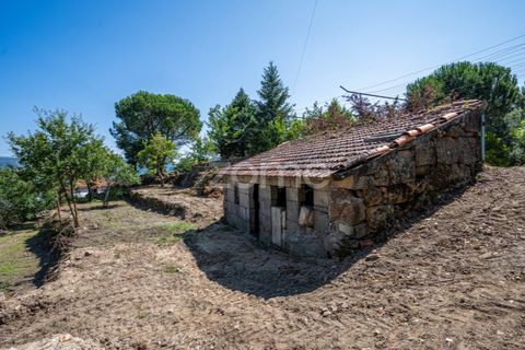 Farm i Cinfaes, Viseu, Cinfaes - € 550.000 | Ref: ZMPT568769 - foto 27