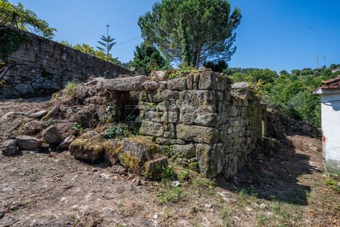 Farm i Cinfaes, Viseu, Cinfaes - € 550.000 | Ref: ZMPT568769 - foto 29