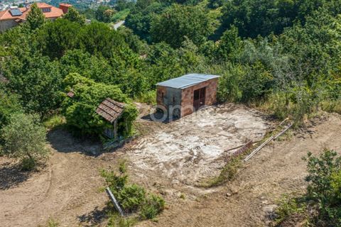 Farm i Cinfaes, Viseu, Cinfaes - € 550.000 | Ref: ZMPT568769 - foto 30
