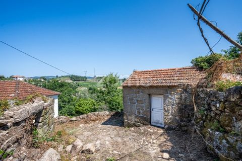 Farm i Cinfaes, Viseu, Cinfaes - € 550.000 | Ref: ZMPT568769 - foto 31