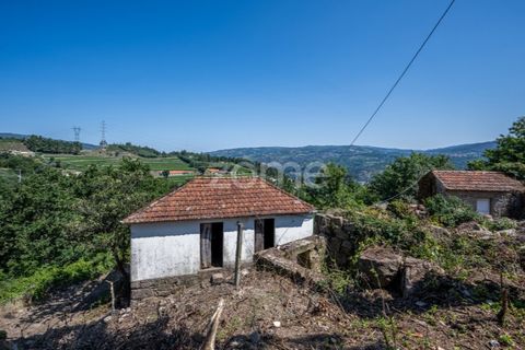 Farm i Cinfaes, Viseu, Cinfaes - € 550.000 | Ref: ZMPT568769 - foto 32