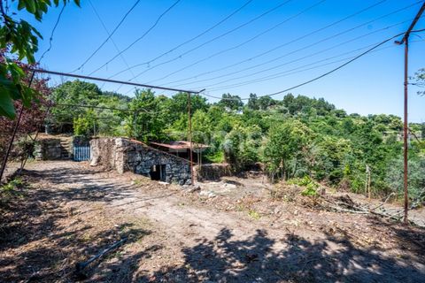 Farm i Cinfaes, Viseu, Cinfaes - € 550.000 | Ref: ZMPT568769 - foto 33