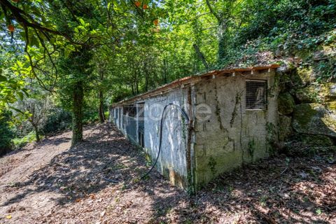 Farm i Cinfaes, Viseu, Cinfaes - € 550.000 | Ref: ZMPT568769 - foto 34