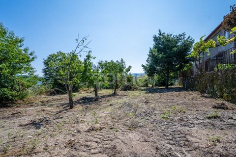 Farm i Cinfaes, Viseu, Cinfaes - € 550.000 | Ref: ZMPT568769 - foto 35