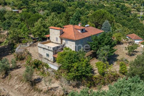 Farm i Cinfaes, Viseu, Cinfaes - € 550.000 | Ref: ZMPT568769 - foto 37