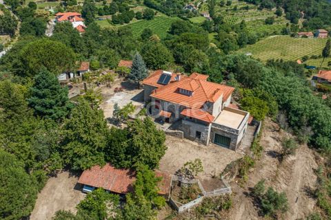 Farm i Cinfaes, Viseu, Cinfaes - € 550.000 | Ref: ZMPT568769 - foto 38
