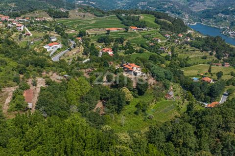 Farm i Cinfaes, Viseu, Cinfaes - € 550.000 | Ref: ZMPT568769 - foto 39