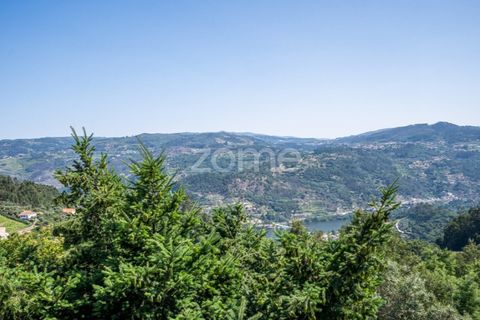 Farm i Cinfaes, Viseu, Cinfaes - € 550.000 | Ref: ZMPT568769 - foto 40