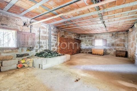 Farm i Cinfaes, Viseu, Cinfaes - € 550.000 | Ref: ZMPT568769 - foto 5