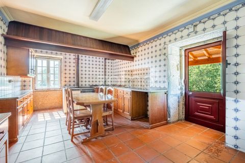 Gård i Cinfaes, Viseu, Cinfaes - € 550 000 | Ref: ZMPT568769 - foto 10