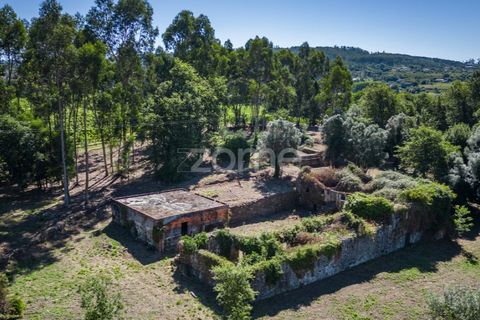 Farm i Vila Verde, Braga, Vila Verde - € 445.000 | Ref: ZMPT569472 - foto 5