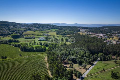 Farm i Vila Verde, Braga, Vila Verde - € 445.000 | Ref: ZMPT569472 - foto 2