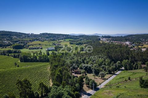 Farm i Vila Verde, Braga, Vila Verde - € 445.000 | Ref: ZMPT569472 - foto 3