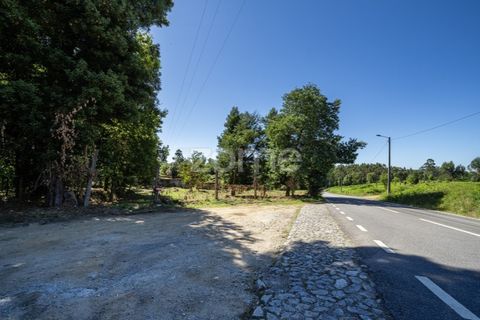 Farm i Vila Verde, Braga, Vila Verde - € 445.000 | Ref: ZMPT569472 - foto 4
