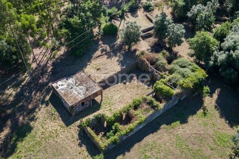 Farm i Vila Verde, Braga, Vila Verde - € 445.000 | Ref: ZMPT569472 - foto 6