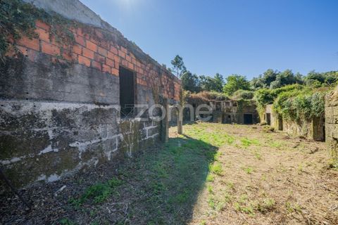 Farm i Vila Verde, Braga, Vila Verde - € 445.000 | Ref: ZMPT569472 - foto 7