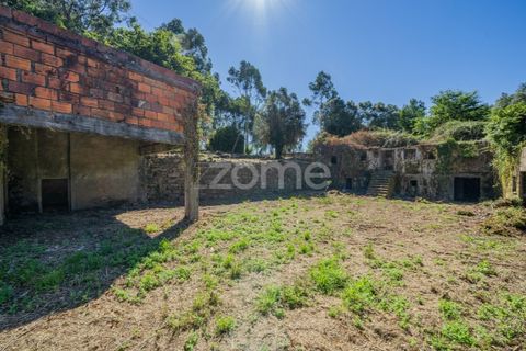 Farm i Vila Verde, Braga, Vila Verde - € 445.000 | Ref: ZMPT569472 - foto 8