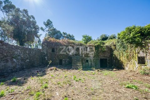 Farm i Vila Verde, Braga, Vila Verde - € 445.000 | Ref: ZMPT569472 - foto 9
