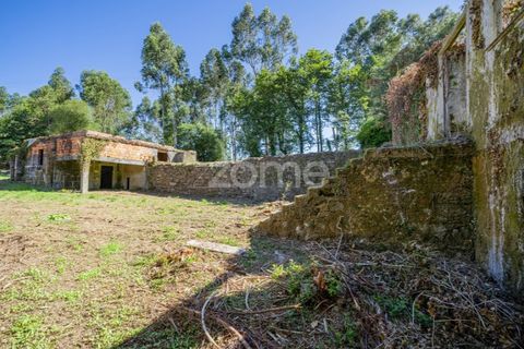 Farm i Vila Verde, Braga, Vila Verde - € 445.000 | Ref: ZMPT569472 - foto 10