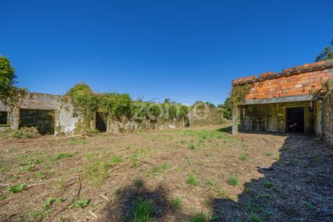 Farm i Vila Verde, Braga, Vila Verde - € 445.000 | Ref: ZMPT569472 - foto 11