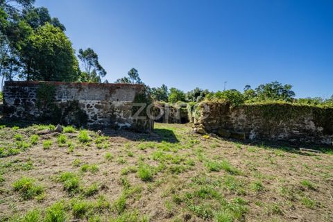 Farm i Vila Verde, Braga, Vila Verde - € 445.000 | Ref: ZMPT569472 - foto 12