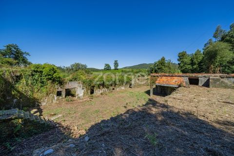 Farm i Vila Verde, Braga, Vila Verde - € 445.000 | Ref: ZMPT569472 - foto 13
