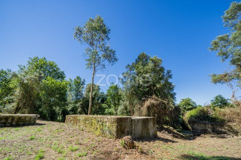 Farm i Vila Verde, Braga, Vila Verde - € 445.000 | Ref: ZMPT569472 - foto 14