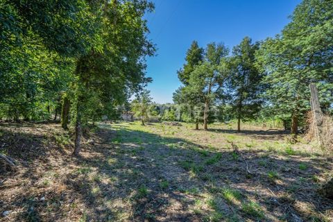 Farm i Vila Verde, Braga, Vila Verde - € 445.000 | Ref: ZMPT569472 - foto 15