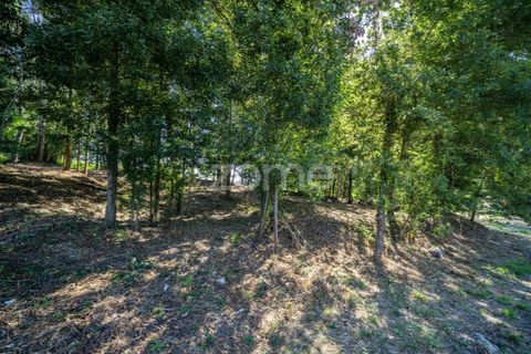 Farm i Vila Verde, Braga, Vila Verde - € 445.000 | Ref: ZMPT569472 - foto 16