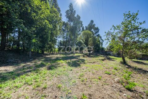 Farm i Vila Verde, Braga, Vila Verde - € 445.000 | Ref: ZMPT569472 - foto 17