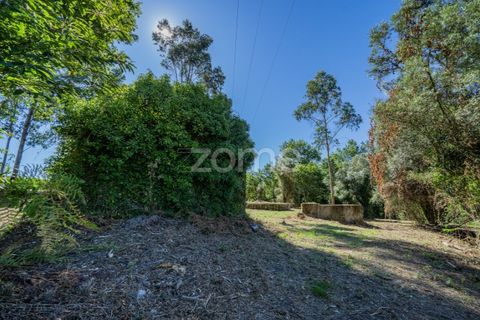 Farm i Vila Verde, Braga, Vila Verde - € 445.000 | Ref: ZMPT569472 - foto 18