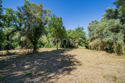 Farm i Vila Verde, Braga, Vila Verde - € 445.000 | Ref: ZMPT569472 - foto 19