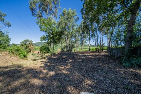 Farm i Vila Verde, Braga, Vila Verde - € 445.000 | Ref: ZMPT569472 - foto 20