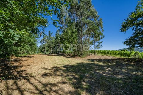 Farm i Vila Verde, Braga, Vila Verde - € 445.000 | Ref: ZMPT569472 - foto 21