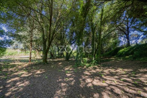 Farm i Vila Verde, Braga, Vila Verde - € 445.000 | Ref: ZMPT569472 - foto 22