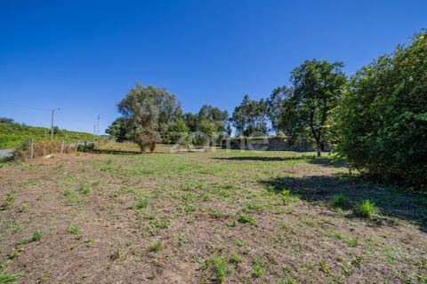 Farm i Vila Verde, Braga, Vila Verde - € 445.000 | Ref: ZMPT569472 - foto 23