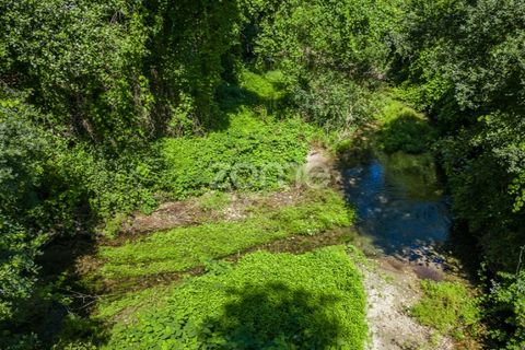 Farm i Vila Verde, Braga, Vila Verde - € 445.000 | Ref: ZMPT569472 - foto 24