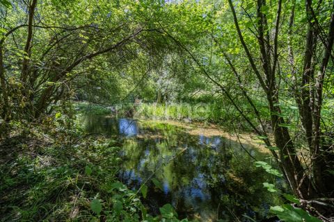 Farm i Vila Verde, Braga, Vila Verde - € 445.000 | Ref: ZMPT569472 - foto 25
