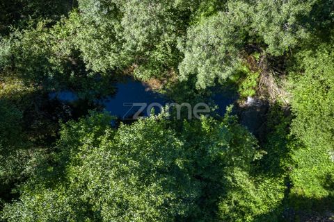 Farm i Vila Verde, Braga, Vila Verde - € 445.000 | Ref: ZMPT569472 - foto 27