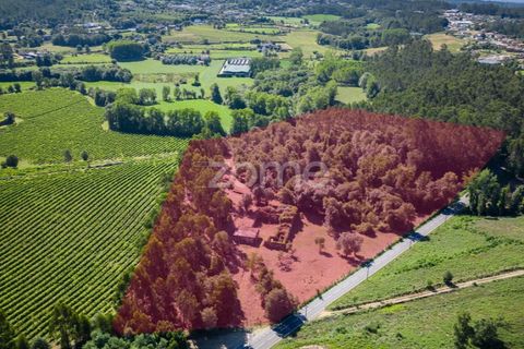Farm i Vila Verde, Braga, Vila Verde - € 445.000 | Ref: ZMPT569472 - foto 31